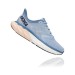 Blue Fog/Provincial Blue