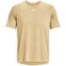 Vegas Gold 715