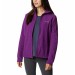 Plum #575