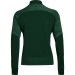 Dark Green #301