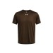 Brown 200