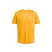 Steeltown Gold 750