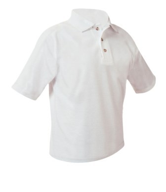 A+ Brand Short Sleeve Polo #8760