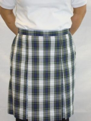 Plaid 80