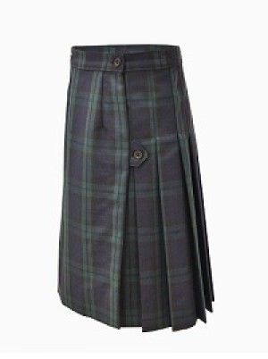 Plaid 79